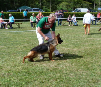 Foto: Stefan Lehnert