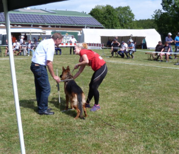 Foto: Stefan Lehnert
