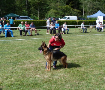 Foto: Stefan Lehnert