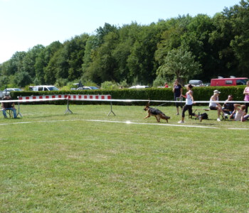 Foto: Stefan Lehnert