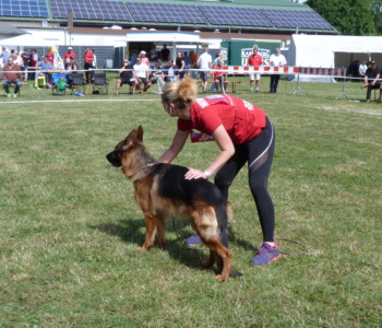 Foto: Stefan Lehnert