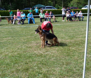 Foto: Stefan Lehnert