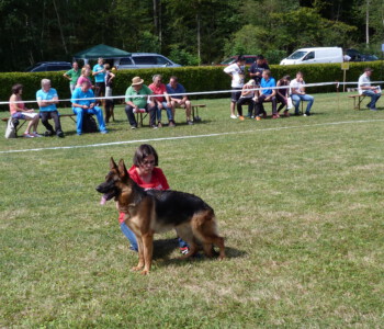 Foto: Stefan Lehnert