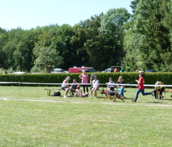 Foto: Stefan Lehnert