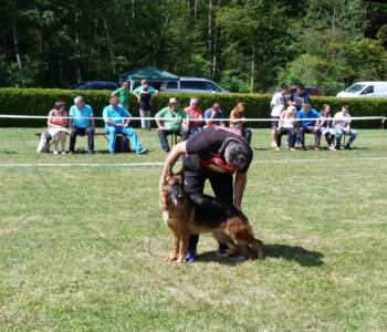 Foto: Stefan Lehnert