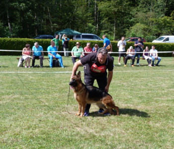 Foto: Stefan Lehnert