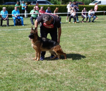 Foto: Stefan Lehnert