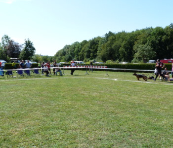 Foto: Stefan Lehnert