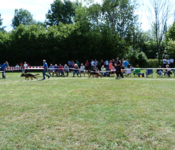 Foto: Stefan Lehnert