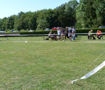 Foto: Stefan Lehnert