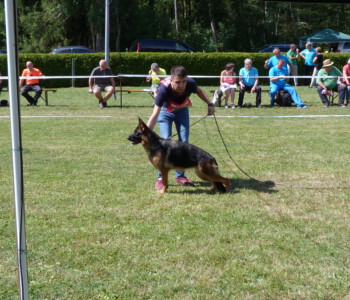 Foto: Stefan Lehnert