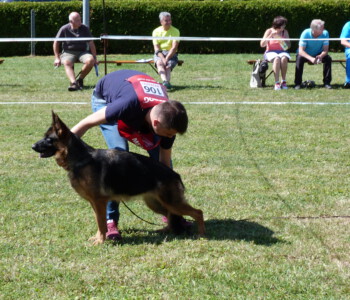 Foto: Stefan Lehnert