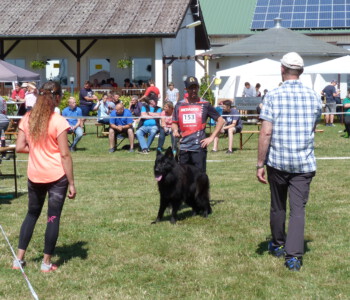 Foto: Stefan Lehnert