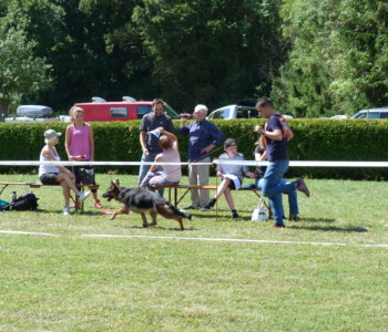 Foto: Stefan Lehnert