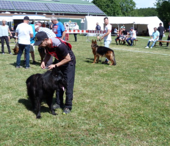 Foto: Stefan Lehnert