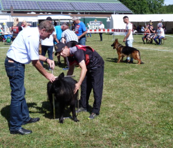 Foto: Stefan Lehnert