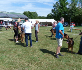 Foto: Stefan Lehnert