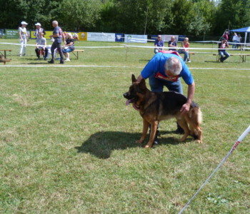 Foto: Stefan Lehnert