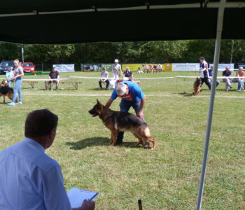 Foto: Stefan Lehnert