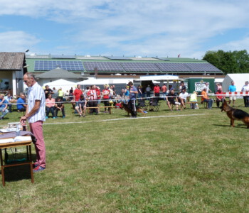 Foto: Stefan Lehnert