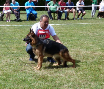 Foto: Stefan Lehnert