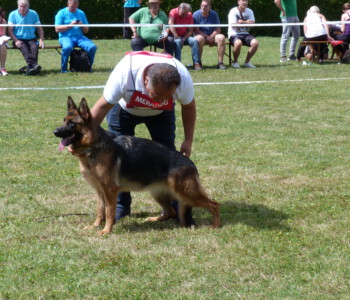 Foto: Stefan Lehnert