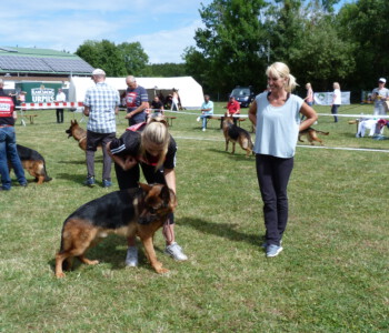 Foto: Stefan Lehnert