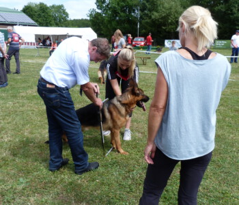 Foto: Stefan Lehnert