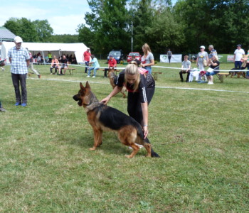 Foto: Stefan Lehnert