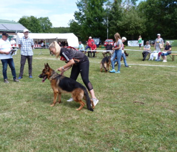 Foto: Stefan Lehnert