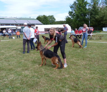 Foto: Stefan Lehnert