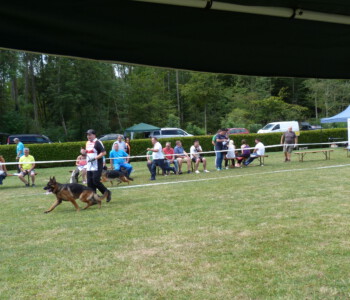 Foto: Stefan Lehnert