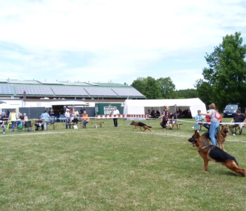 Foto: Stefan Lehnert