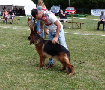 Foto: Stefan Lehnert