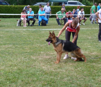 Foto: Stefan Lehnert