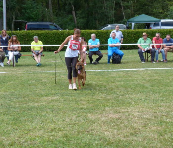 Foto: Stefan Lehnert