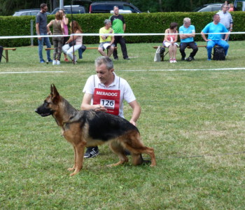 Foto: Stefan Lehnert