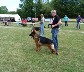 Foto: Stefan Lehnert