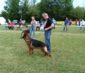 Foto: Stefan Lehnert