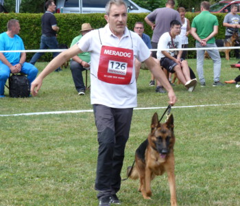 Foto: Stefan Lehnert