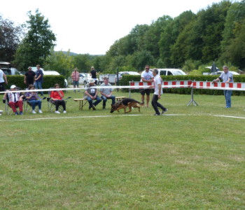 Foto: Stefan Lehnert