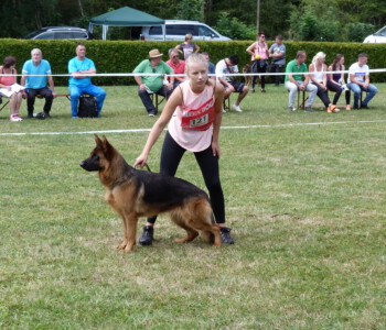 Foto: Stefan Lehnert