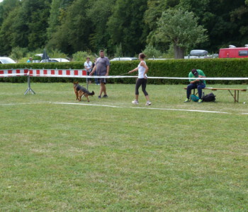 Foto: Stefan Lehnert