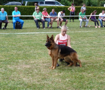 Foto: Stefan Lehnert