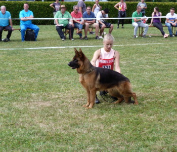 Foto: Stefan Lehnert