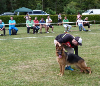 Foto: Stefan Lehnert