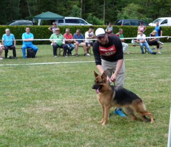 Foto: Stefan Lehnert