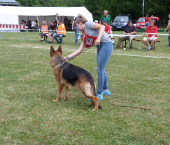 Foto: Stefan Lehnert