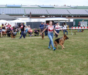 Foto: Stefan Lehnert