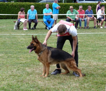 Foto: Stefan Lehnert